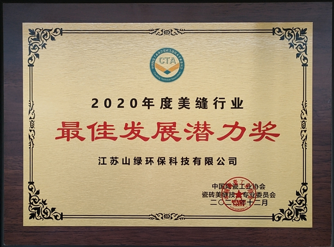 发展潜力奖